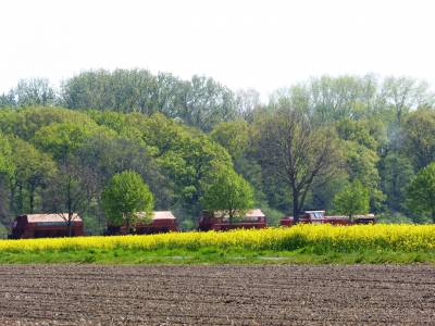 Umweltschutz und Klimaschutz
waren schon immer wichtige
Anliegen der CDU Wadersloh